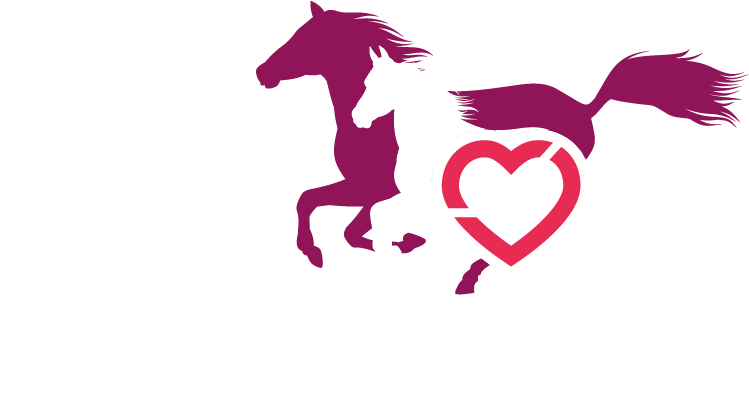 APRDA awarded “Off The Track” Grant from Racing Queensland - Arundel ...