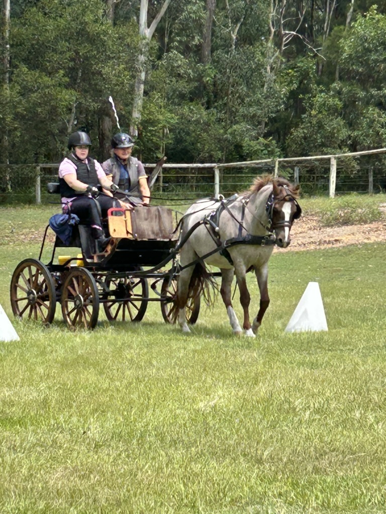 0BC865B9-0CC8-4400-B538-6C2C54DC433D_1_105_c